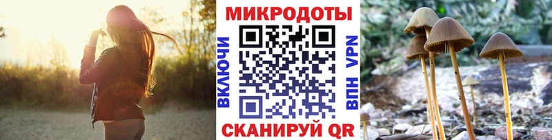 мега зеркало  как найти наркотики  Судогда  Галлюциногенные грибы GOLDEN TEACHER 